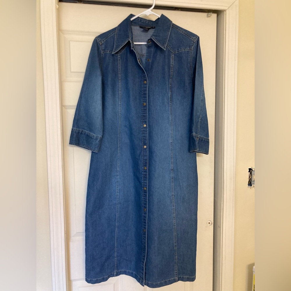 Large Denim Dress